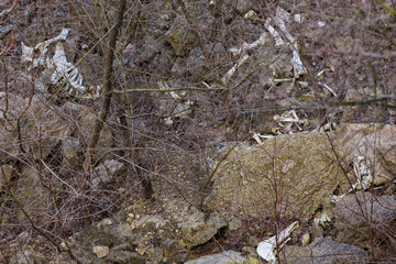 Bones and skulls of animals that fell off a cliff onto rocks. Creepy hiking trails. Background