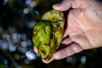 Green river stone in hand against the background of water