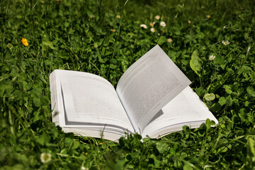 Open book in beautiful green meadow on sunny day