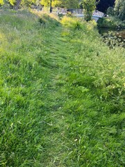 Footpath in green grass to bridge across canal