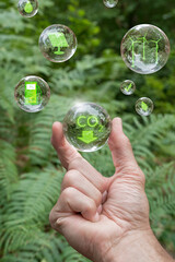 hand holding bubbles with icons of sustainable energy (solar energy, wind energy, hydrogen technology, carbon neutral) on a background with many plants, concept of renewable energy and sustainability