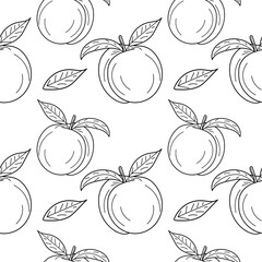 Linear Peach seamless pattern. Apricot Seamless pattern, background for print. hand drawing Peach background. vector illustration.