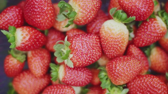 Morango fruta - moranguinho