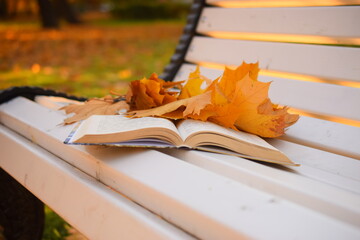 autumn book on the bench 