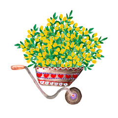 Watercolor illustration a huge bouquet, greenery and burgundy yellow berries, in a garden wheelbarrow, gardening