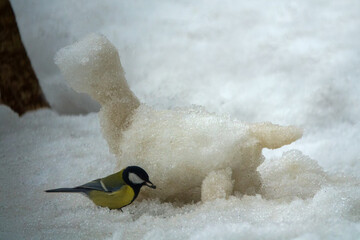 Winter fun for children. Great Tit and the snowman cat
