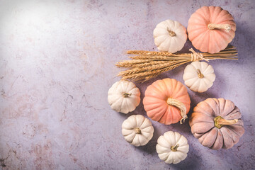 Thanksgiving and Halloween pumpkins in pastel colors