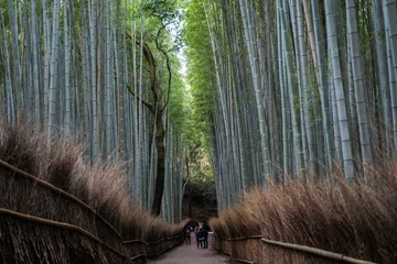Deurstickers Famous Arashiyama Bamboo Grove in Kyoto, Japan © Crisolo_/Wirestock Creators