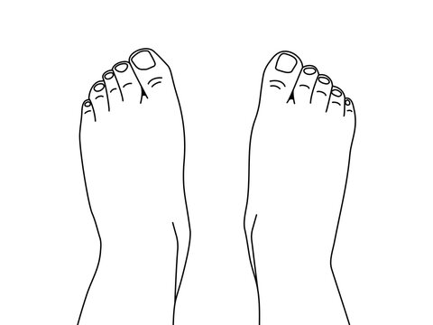 Top view of two bare human feet. Thin line foot legs. Vector flat outline illustration