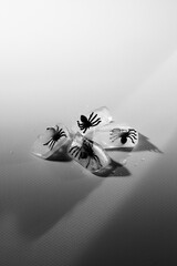 Ice cube with fake spiders. Halloween horror scene. White and black photography