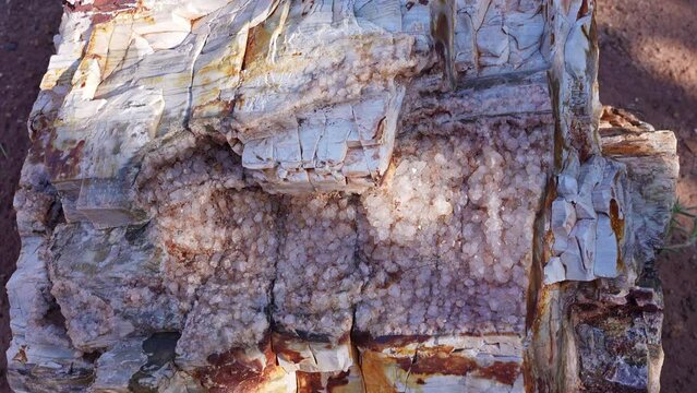 Petrified wood with crystals on it viewing the texture up close at the Escalante Petrified Forest.