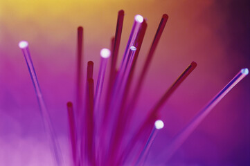 Close-up of fiber optic cables