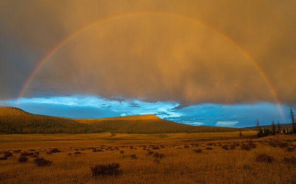 Rainbow over Meadow