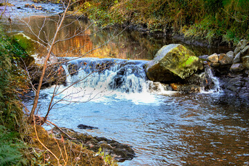 stream in the forest