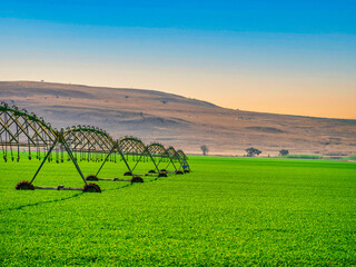 Agricultural irrigation system watering crop field in Drakensberg, South Africa
