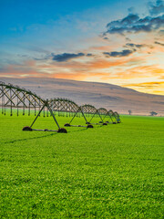Fototapeta na wymiar Agricultural irrigation system watering crop field in Drakensberg, South Africa