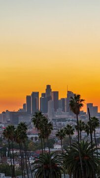 Los Angeles Day to Night Sunet Timelapse with Palm Trees, Vertical Reel Video