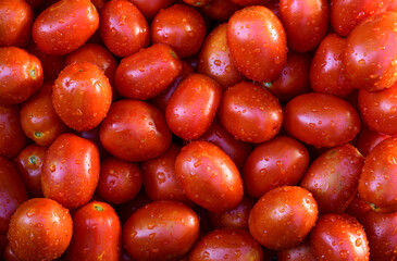 group of fresh tomatoes in water droplets close-up.tomato background