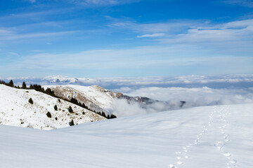 Fototapeta na wymiar Winter landscape with snow from Alps