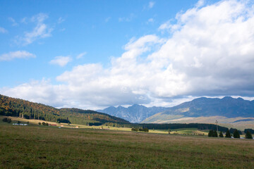 Fototapeta premium Cansiglio woodland autumn view. Nature landscape
