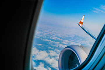 Fototapeta premium paisagem, céu, avião, animais.