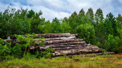 Fototapeta na wymiar Borneo tropical hardwood stacked in log yard. Agricultural background