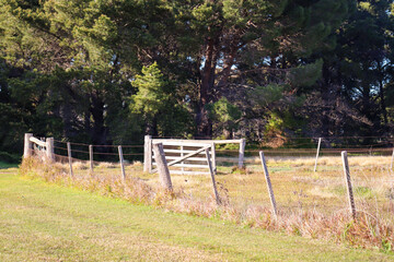 fence in the field