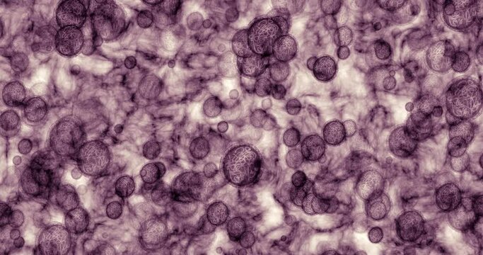 Bacteria, science and virus cell research for medicine, vaccine or cure innovation or microscopic lab work. Medical, dna and laboratory cell analytics in doctor, scientist or pharmacist technology