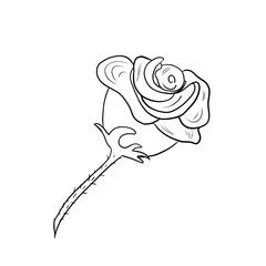 Rose for halloween, line illustration