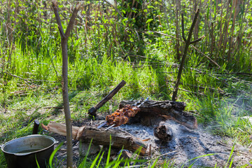 Cooking in nature. Kebabs and fish soup.