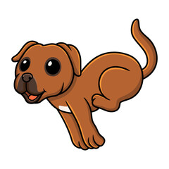 Cute tosa inu cartoon running