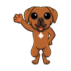 Cute tosa inu cartoon waving hand