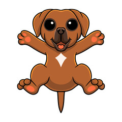 Cute tosa inu cartoon posing