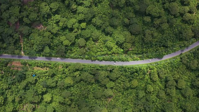 Aerial view of a road crossing the Reserve forest, Cox’s Bazar, Bangladesh.