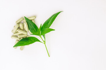 Andrographis paniculata capsule and tip andrographis paniculata plant on white paper background , top view , flat lay.