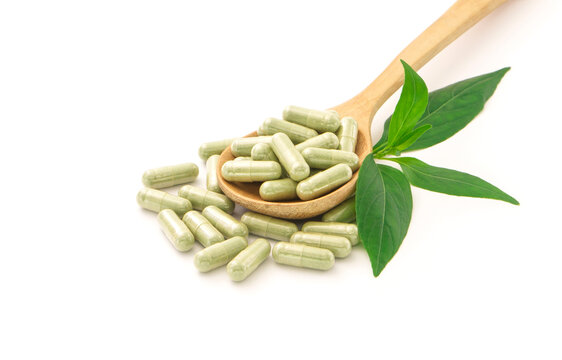 Andrographis paniculata capsule in wooden spoon and tip andrographis paniculata plant on white paper background.