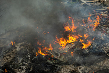 Burning of garbage. Set fire to illegal landfill. Flames and smoke.