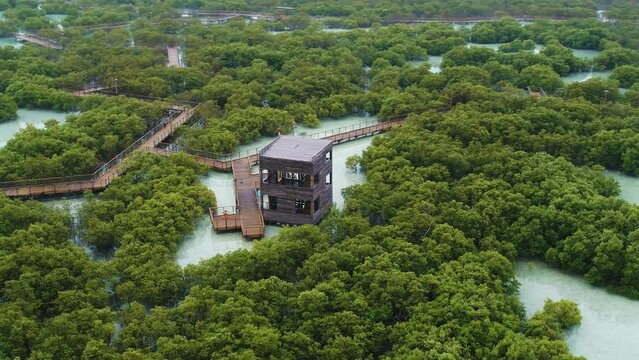 Aerial view of Jubail Mangrove Park, Abu Dhabi, United Arab Emirates.