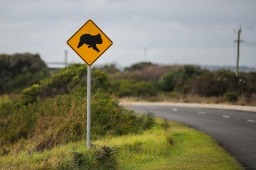 Yellow road sign with a koala near a road in Port Campbell, Victoria, Australia © Morgan Hancock/Wirestock Creators
