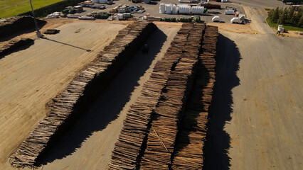 Pile of trunks at paper mill factory, Fray Bentos in Uruguay. Aerial top-down view