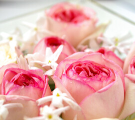 花瓶に入れたピンクの薔薇と羽衣ジャスミンの花