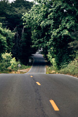 Downhill asphalt road passing through the trees.