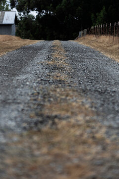 Stone road with burnt grass on the sides on a farm