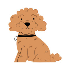 Obraz premium Poodle puppy in flat style. Vector illustration