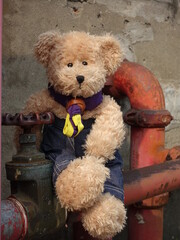 Teddy bear sitting in front of an abandoned water pipe.