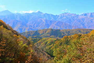 Riserva Naturale Speciale la Bessa, Nature, Beautiful