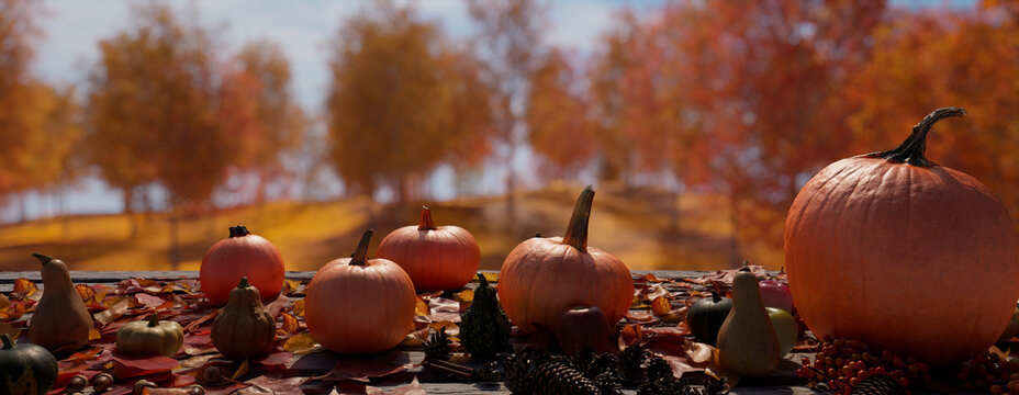 Seasonal Banner with Pumpkin and Fall Leaves in a Natural Scene. Thanksgiving concept with copy-space.