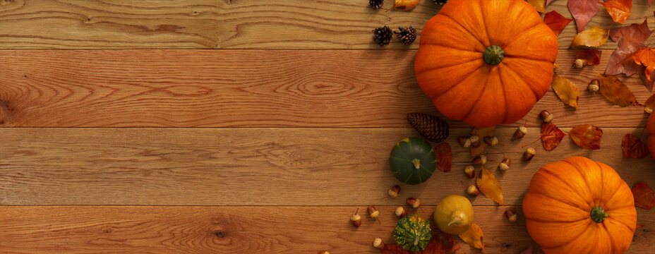 Thanksgiving frame with Pumpkins, Acorns, Autumns leaves and Fruits.