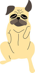 pug illustration