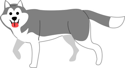 siberian husky illustration